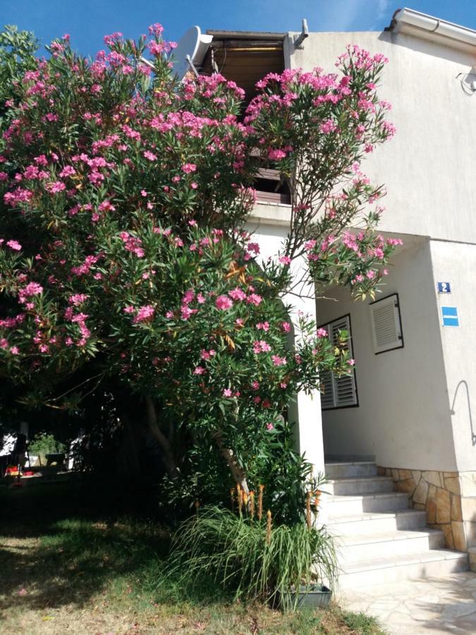 Apartman Nona Povljana Exterior foto